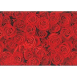 ХАРТИЯ подаръчна , на ролка 2х0.70 м, дизайн Red Roses, PEFC