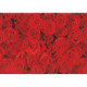 ХАРТИЯ подаръчна , на ролка 2х0.70 м, дизайн Red Roses, PEFC